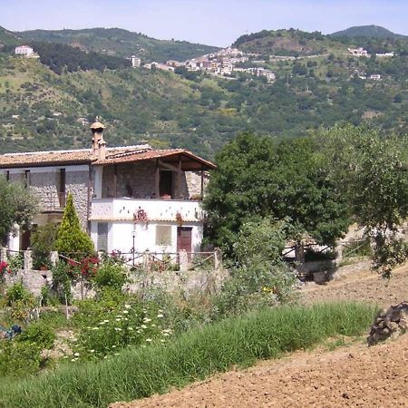 Agriturismo Acampora Villa Cerchiara di Calabria Eksteriør billede