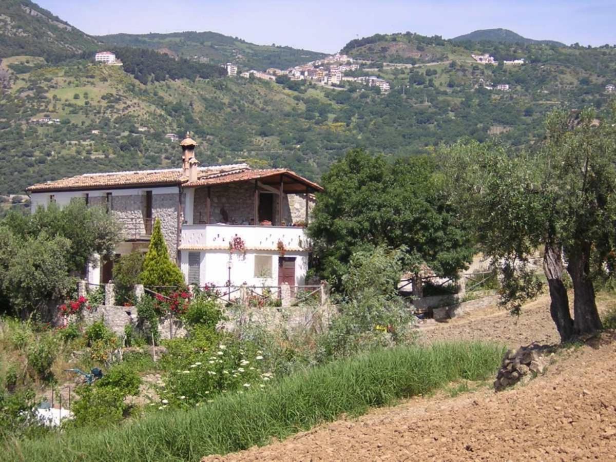 Agriturismo Acampora Villa Cerchiara di Calabria Eksteriør billede
